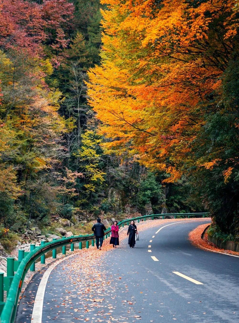 9月国内最美的10个最佳旅行地推荐,金秋十月寻找最美旅行地