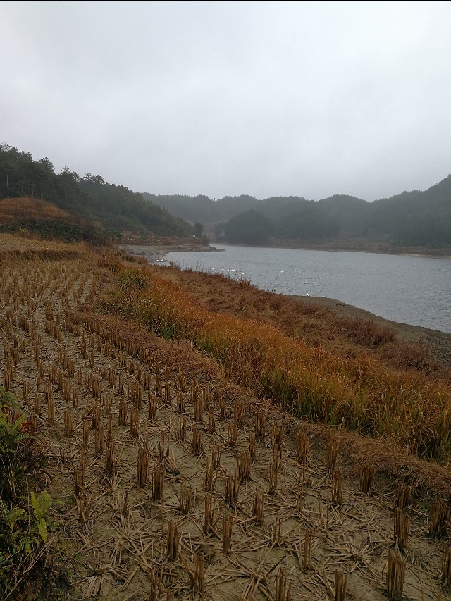 德化载入史册,德化是什么时候被评为世界瓷都的