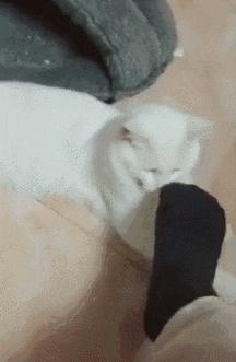 开心一刻gif下雨天,搞笑gif笑到肚子疼意外瞬间特辑