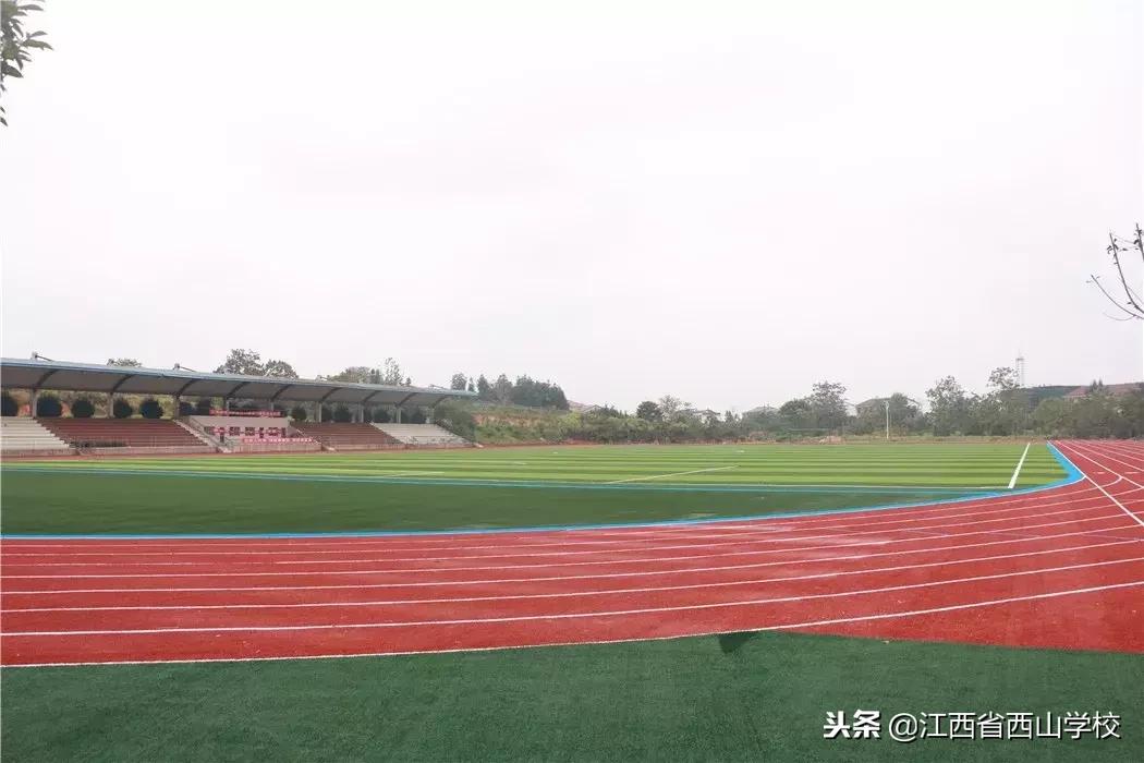 西山学子完整视频,西山学子回母校