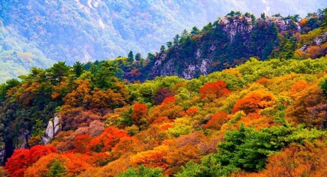 每日景点,河南小众旅游尧山