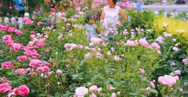 曾是电脑城销售，12年后坐拥60亩私家花园，137万网友跟她看春天