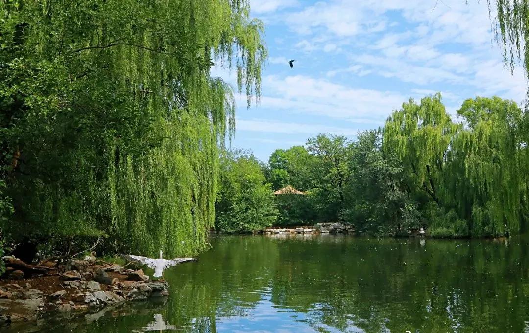 2017年北京市优美河湖,我市4条河湖入选省美丽河湖