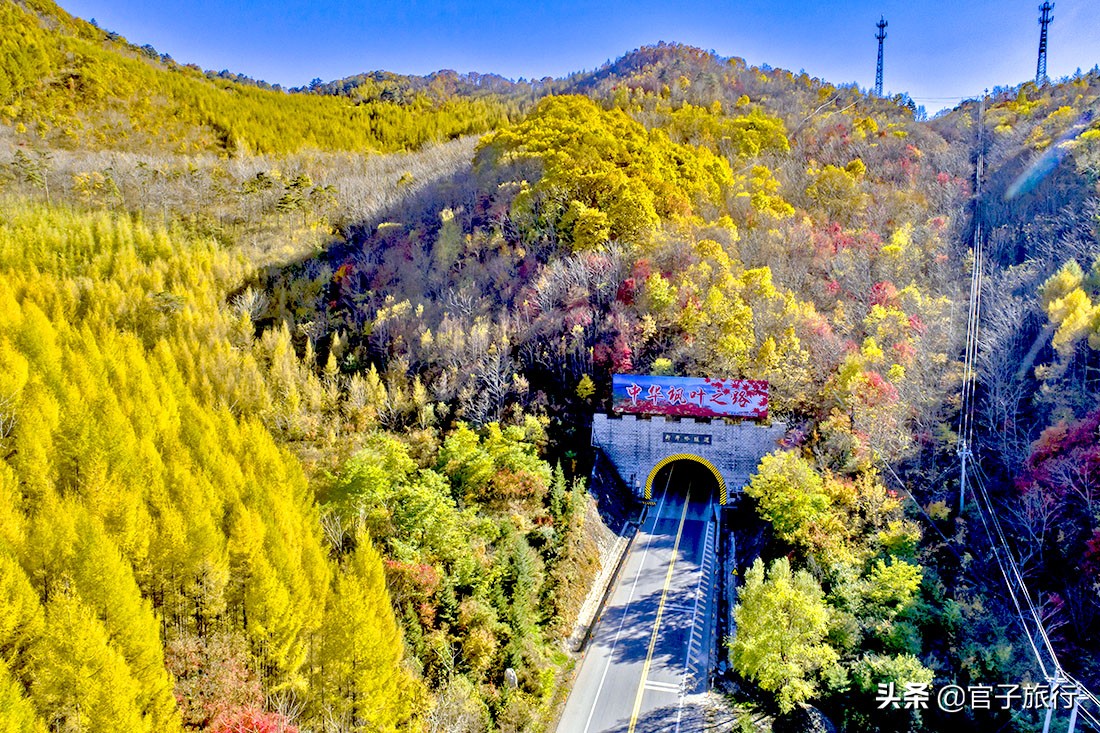 中华枫叶之路自驾游攻略,中华枫叶大道自驾游路线