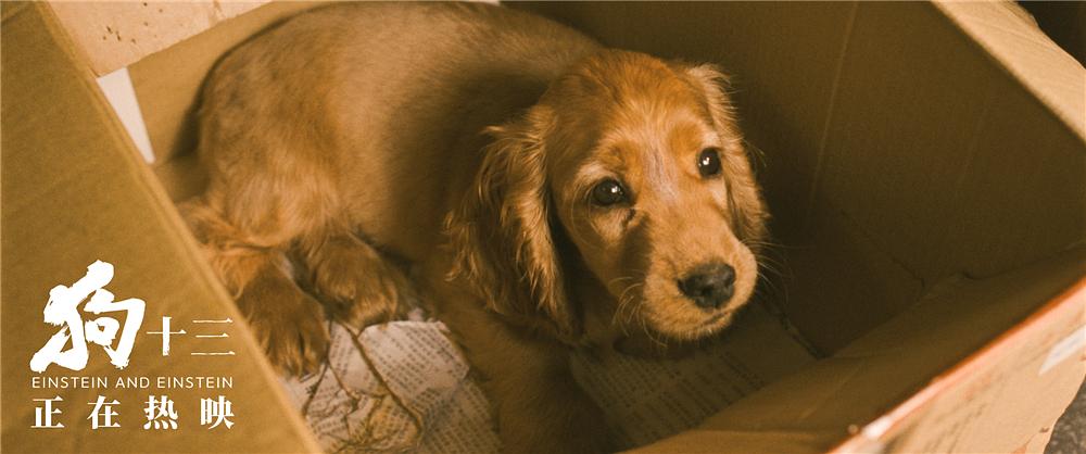 狗十三说脏话,狗十三到底有多可怕