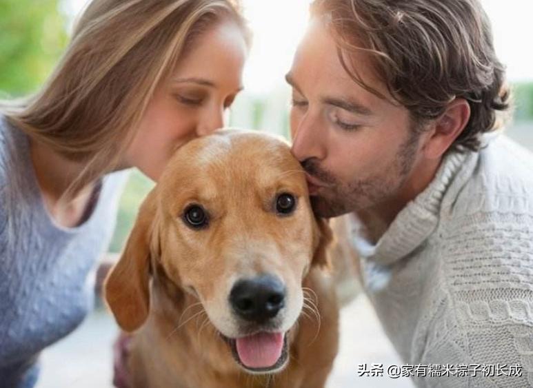 接触宠物感染,怎么防止宠物感染病毒