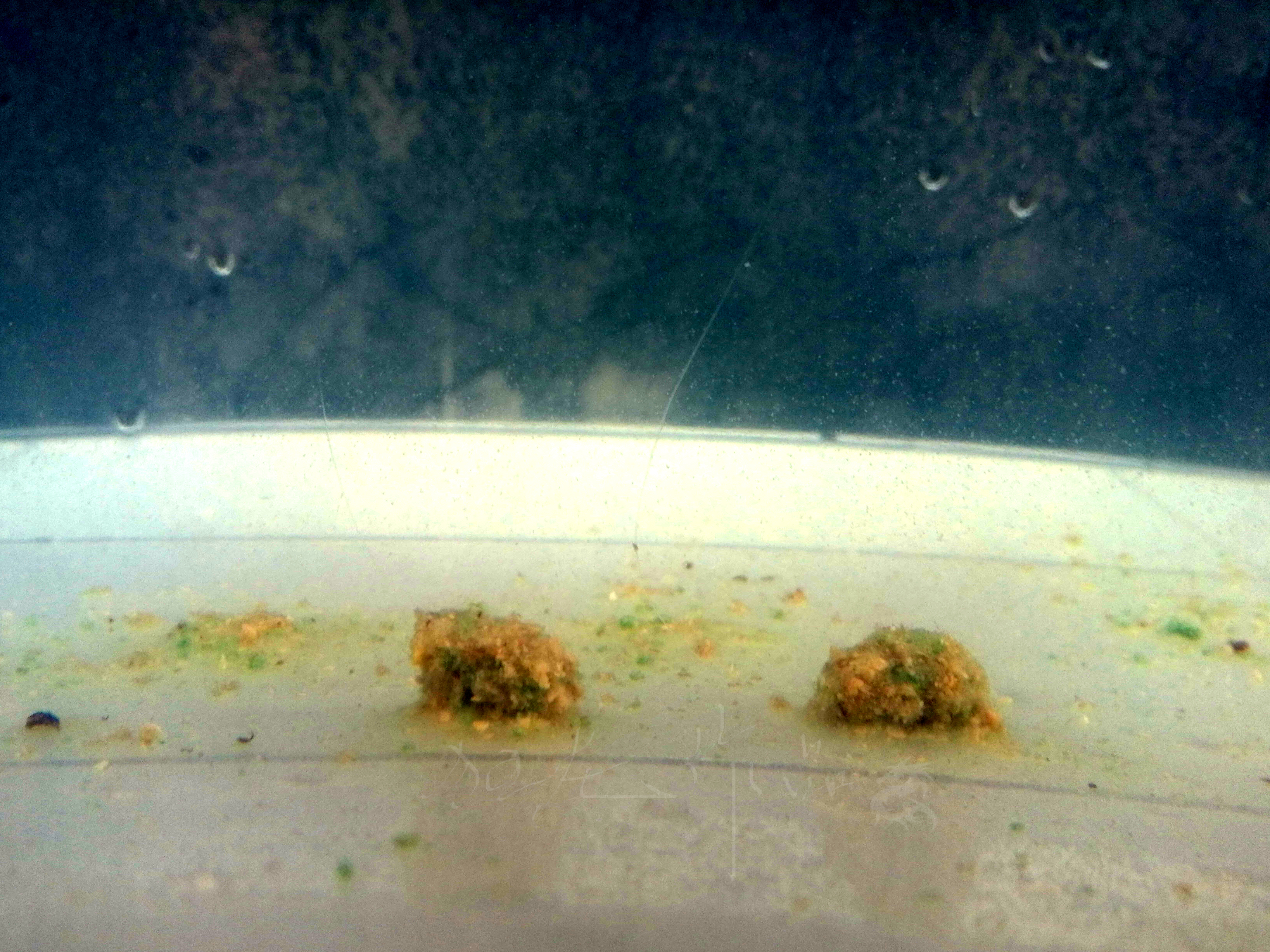 悬浮状态和漂浮状态,悬浮触底