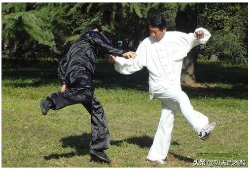 八卦掌散手十八式绕树打法,八卦掌散手技法应用