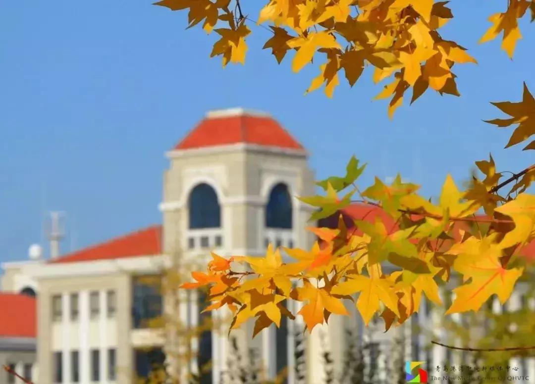 闈掑矝娓咕鑱岄櫌鏂扮敓,闈掑矝娓咕鑱屼笟瀛﹂櫌鍒樻皯