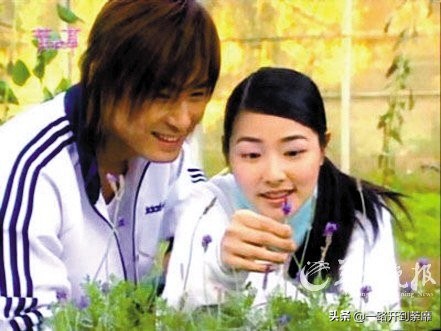 许绍洋偶像剧鼻祖,许绍洋薰衣草是他第一次演戏吗