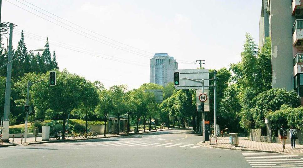 摄影入门推荐胶片,拍摄胶片的六大禁忌