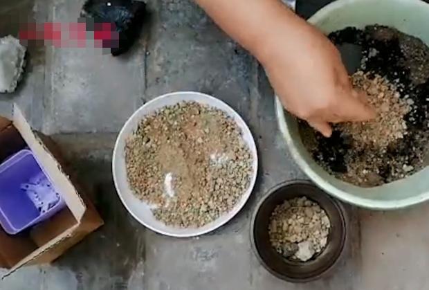 多肉长不大怎么修剪,多肉小苗移盆怎么配土