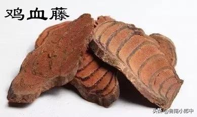 这些与“鸡”有关的中药,你见过几种?