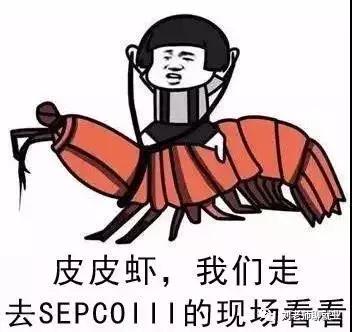 山东电建三公司公司简介,山东电建三公司全称