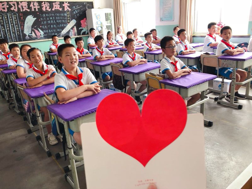 小海豚公益活动策划方案,小海豚计划直播