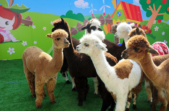 打卡新白娘子传奇杭州取景地,三月杭州打卡景点