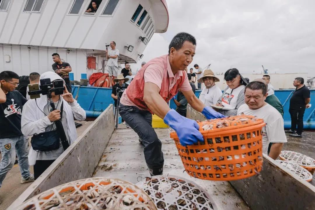 渔都舟山群岛的海鲜果然名不虚传,舟山渔港最好吃的海鲜