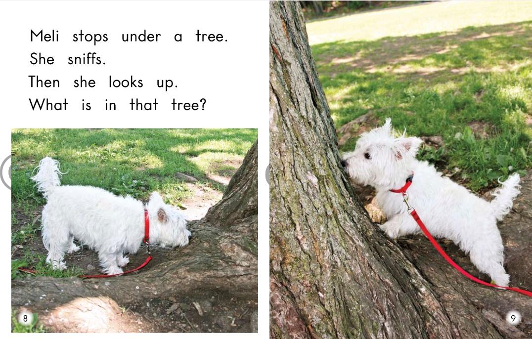 英语有声绘本一只小兔,英文有声绘本bigcatlittlecat