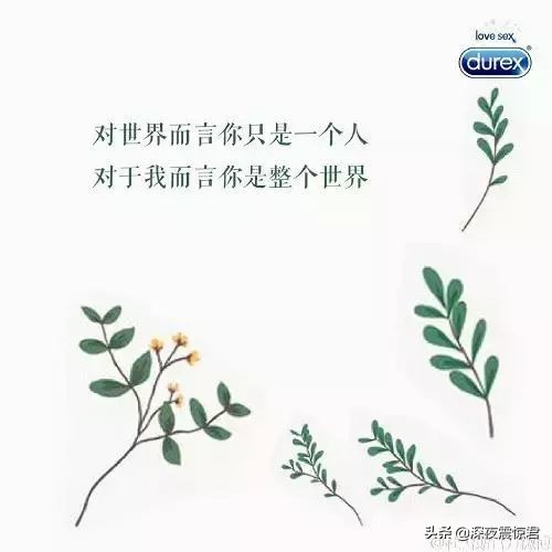 520文案来袭,520文案比较甜的