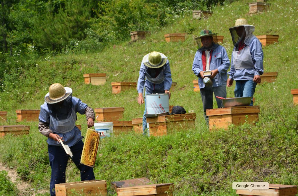 蓝田全域发展规划,建设美丽的蓝田