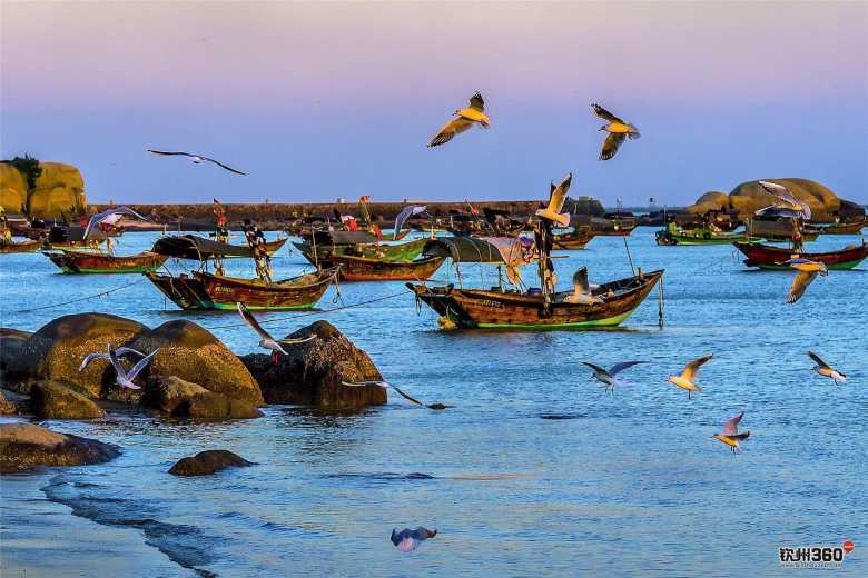 钦州自由贸易试验区属于哪个区,钦州海南自由贸易港发展