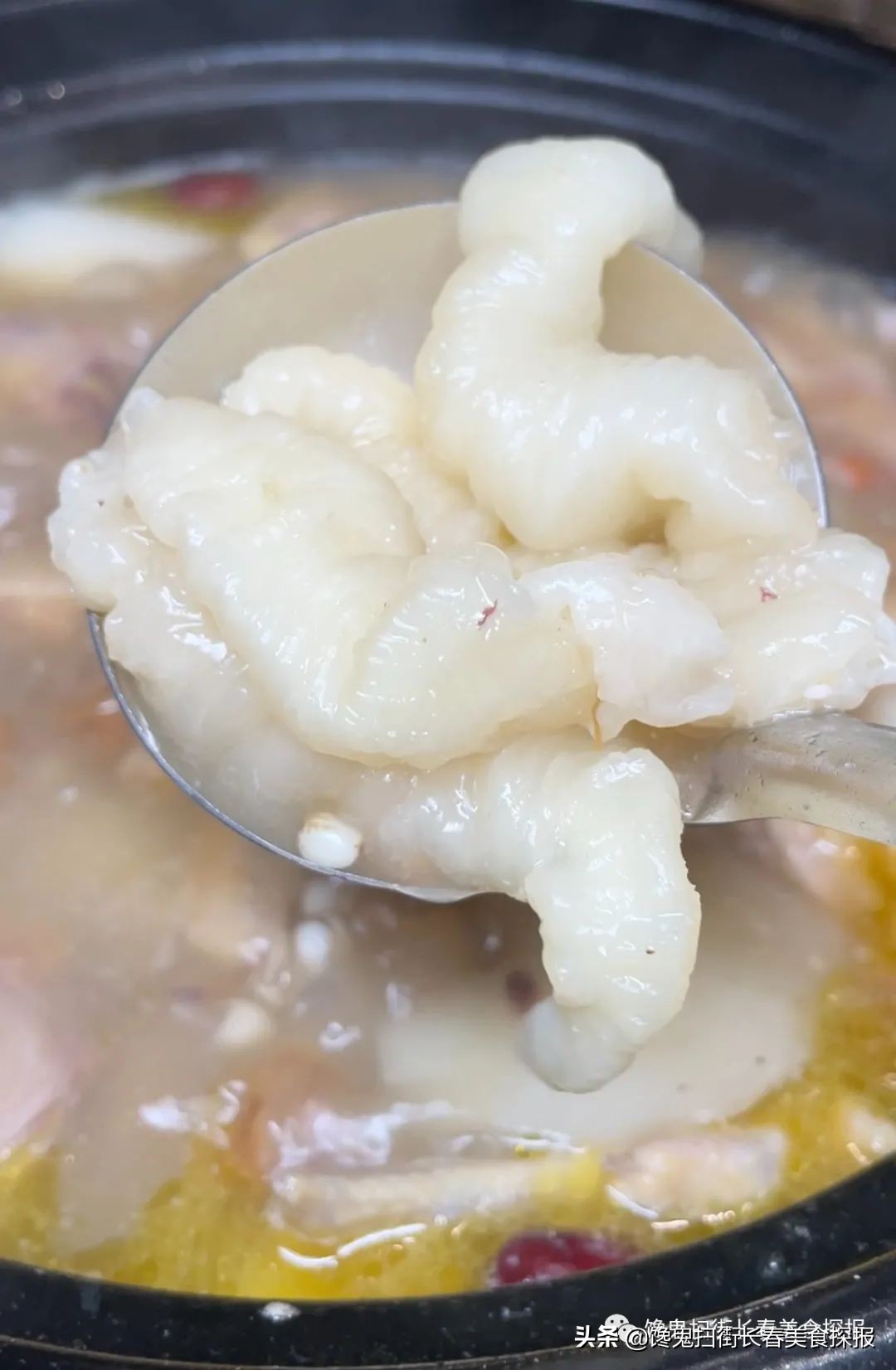 粤菜正宗猪肚鸡,广东正宗粤菜猪肚鸡