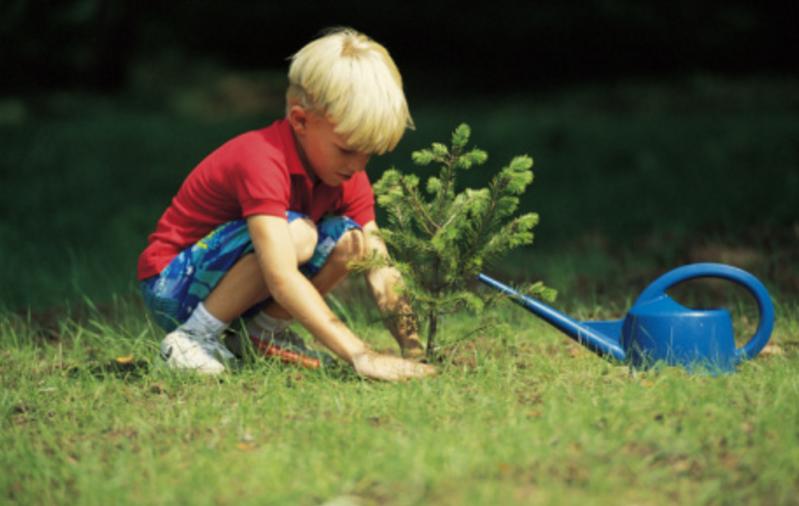 儿童体味重的表现,孩子体味变重是什么原因