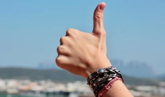 如何挑选高收益的国债逆回购 (国债逆回购100000一天收益怎么算)