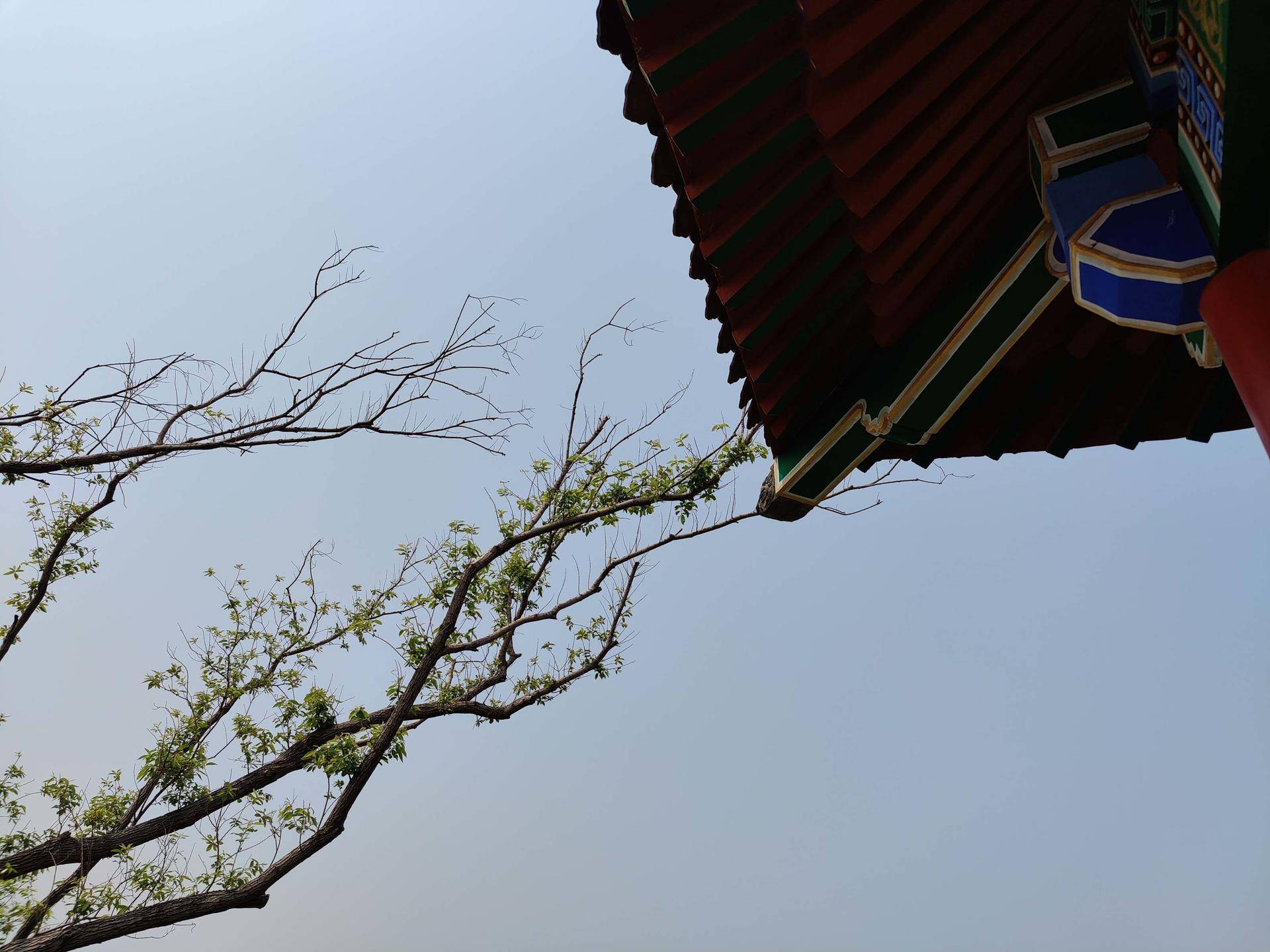 oneplus8pro2024还值得买吗,oneplus8pro测评