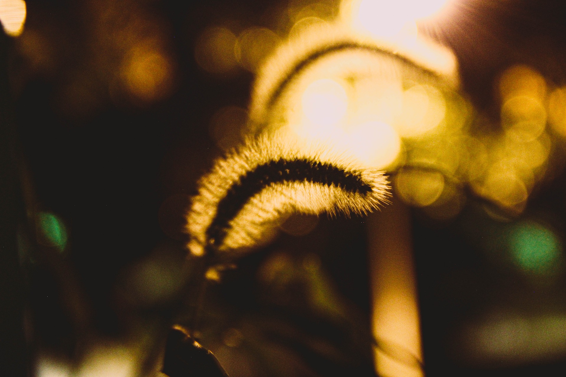 明明世事无常，为什么不学会放手？