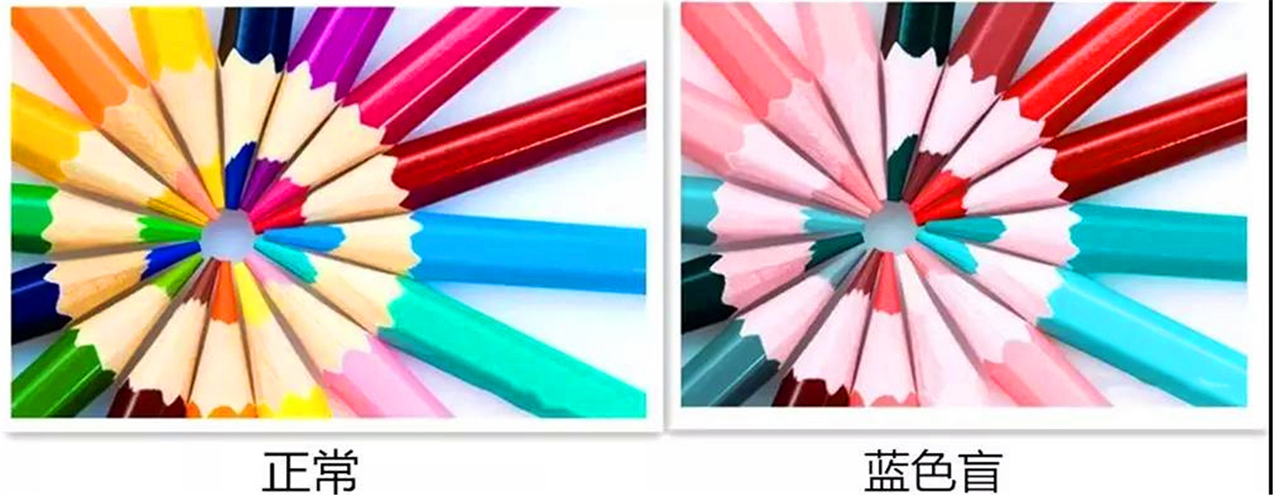 色盲眼中的世界是不是真正的颜色,色盲眼里的世界是什么样子的