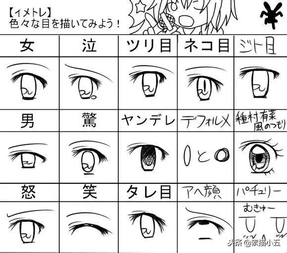 零基础手绘教程推荐,手绘达人