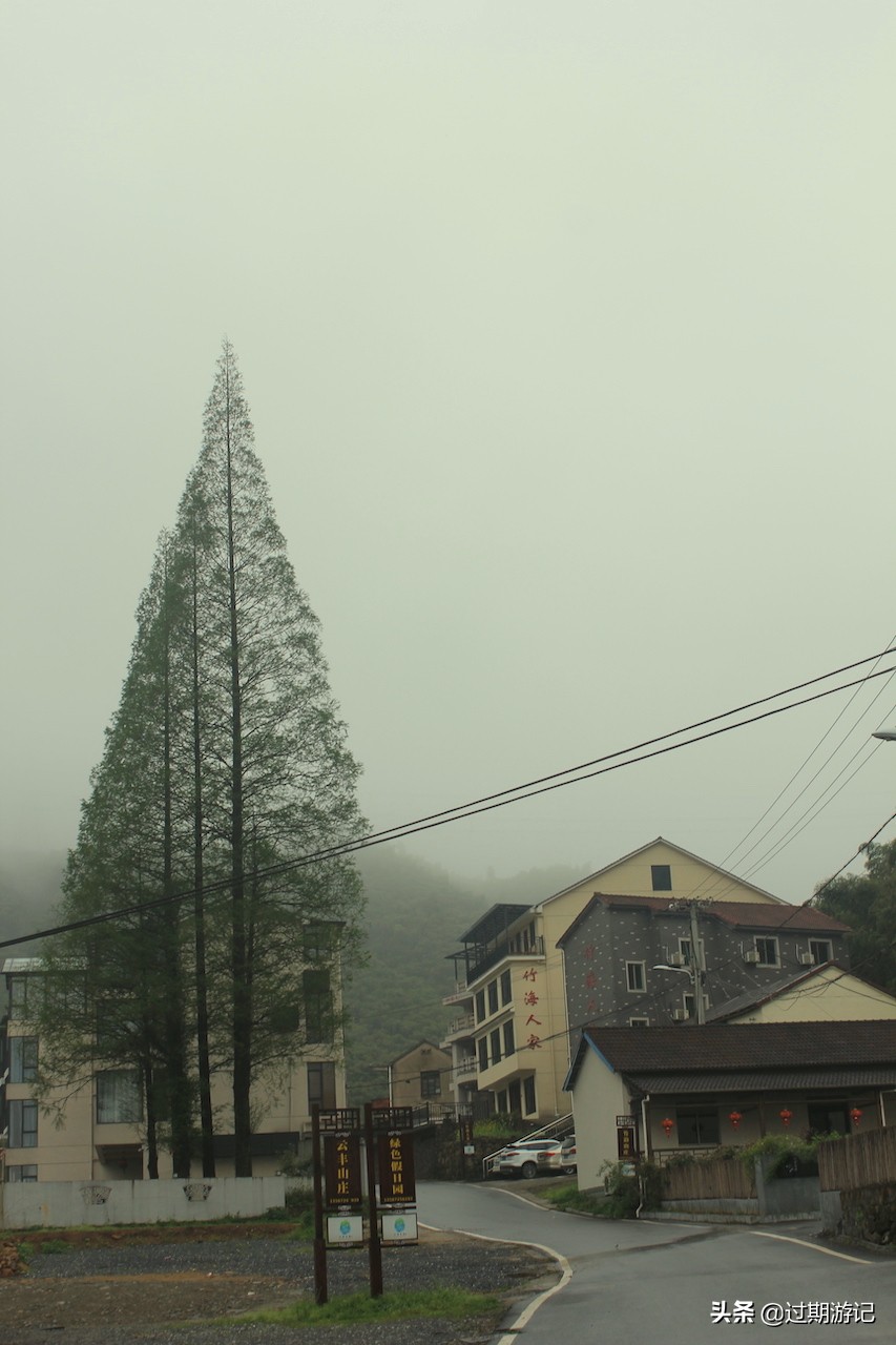 安吉大竹海旅行,冬季安吉大竹海景区