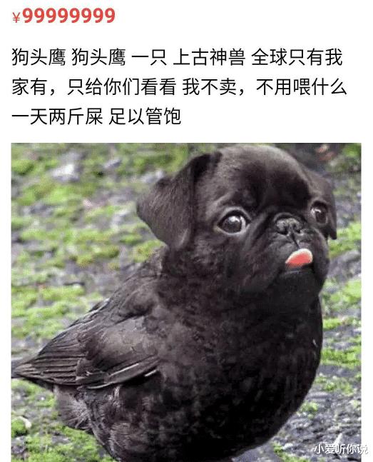 老公最喜欢去的水果店,果然很新鲜啊~笑到肚子疼