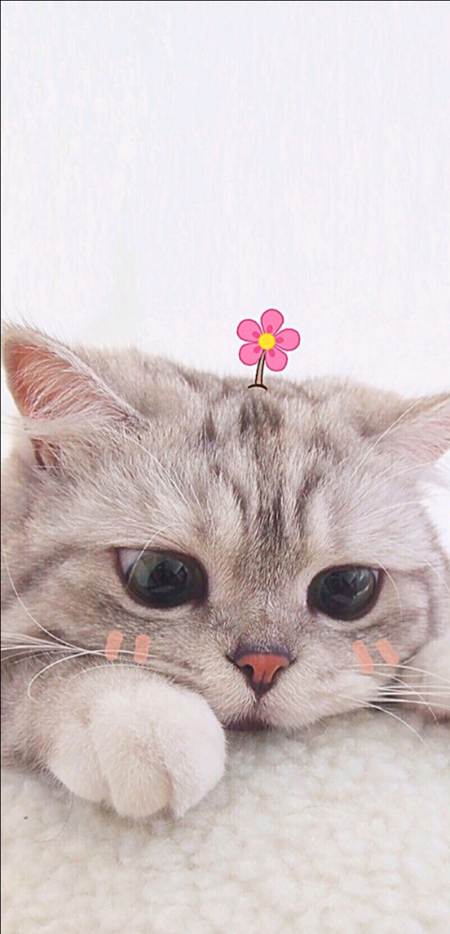 夕阳沙滩壁纸,壁纸夕阳落日图集