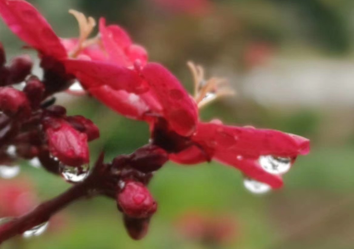 春风十里不如你写给女人的话,春风十里不如你深情对话
