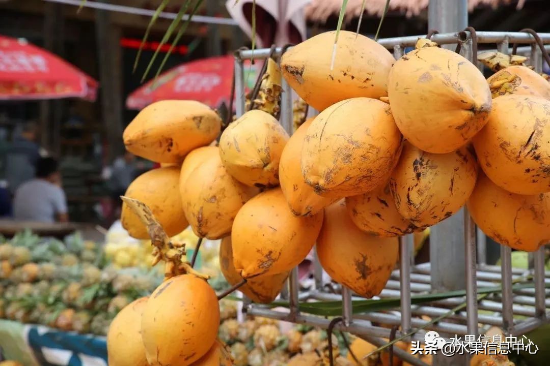 水果天堂：海南水果品种及上市时间表