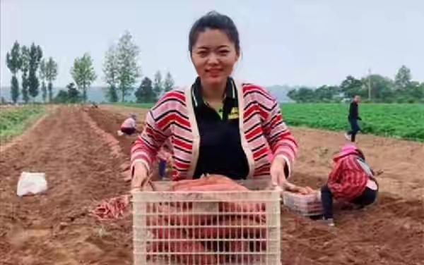 26岁江苏美女,回村创业,年入百万,婚礼直播被打赏10万元