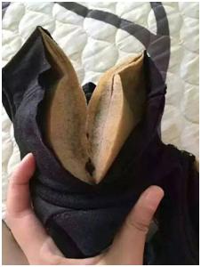 蝴蝶堂｜佰草极疏：舒养养护，打造女性健康穿戴新生态