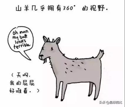 8个关于动物的冷知识,你不知道的二十条动物冷知识