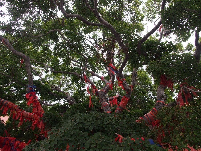 辽宁省兴城市菊花岛,辽宁兴城觉华岛