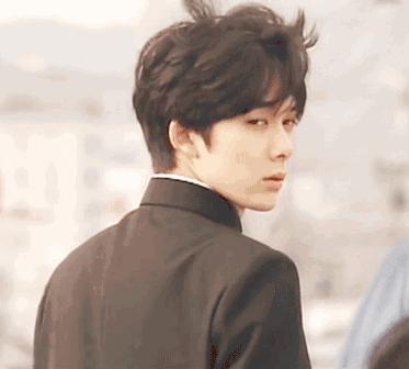 情书柏原崇藤井树解析,藤井树柏原崇是啥意思