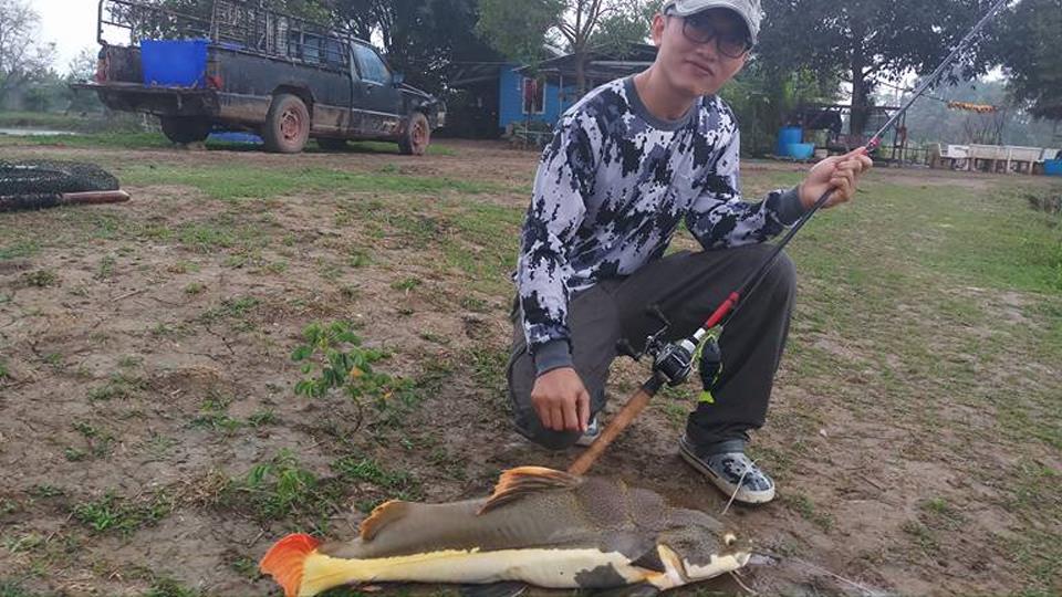 红尾鲶厉害吗,李大毛钓红尾鲶