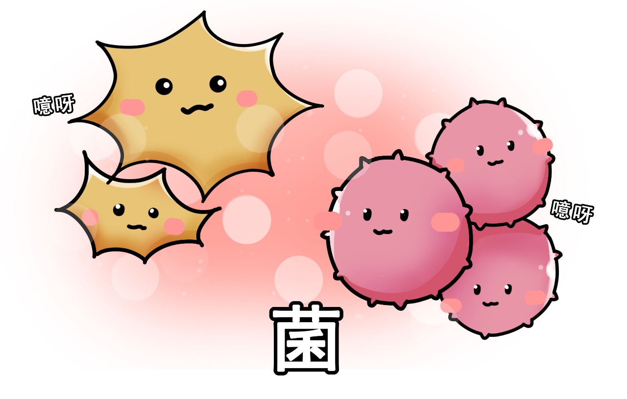 梅雨季节皮肤痒,梅雨季节外阴瘙痒解决方法