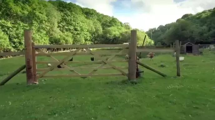 隐居深山30年以种地为生,隐居深山生活养动物