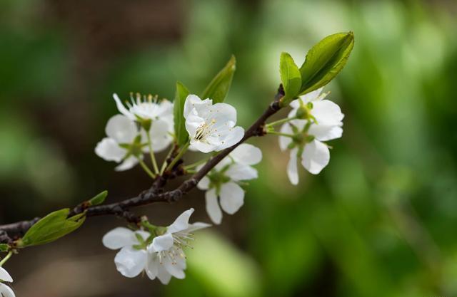真正厉害的人遇到大事件,总是与人发生冲突该如何静下心来
