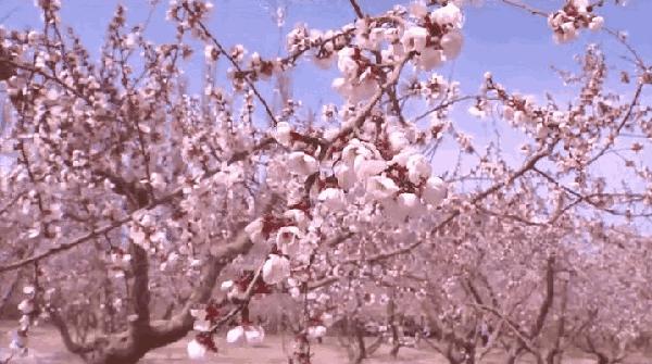 大庆过敏性鼻炎,过敏性鼻炎又开始了