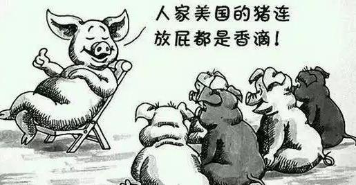 苏联最后的日子解析,苏联的最后时光