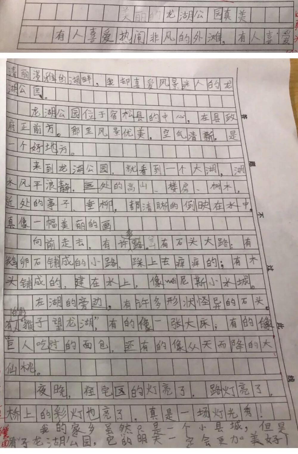 播下一颗种子收获一份快乐,播下一粒成长的种子