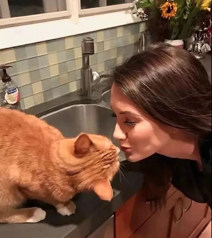 铲屎官请自重图,铲屎官请自重